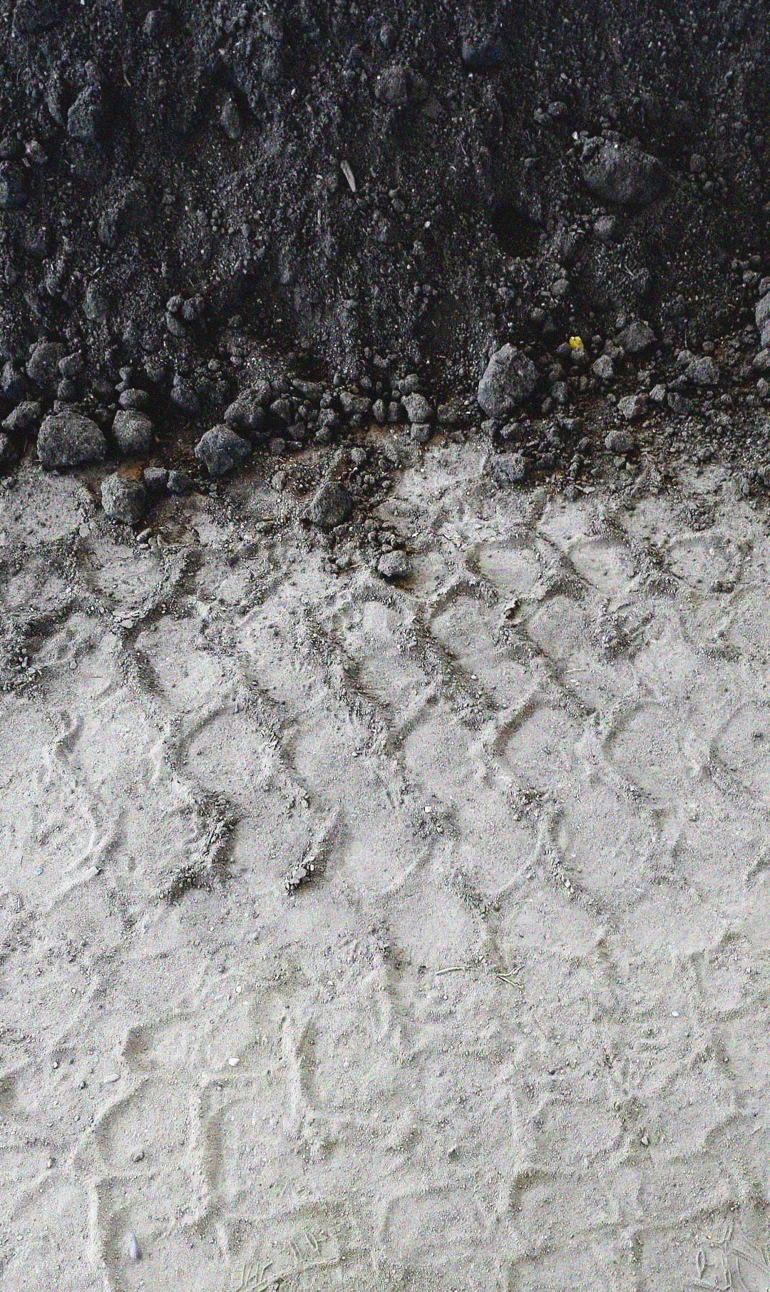 36839561_1601145843323196_4457391981198311424_n